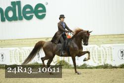 24R13_10611 thumbnail