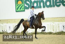 24R13_10612 thumbnail
