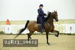 24R13_10614 thumbnail