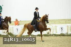 24R13_10615 thumbnail