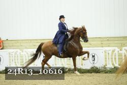 24R13_10616 thumbnail