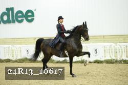 24R13_10617 thumbnail