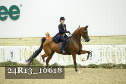 24R13_10618 thumbnail