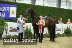 24R13_10627 thumbnail