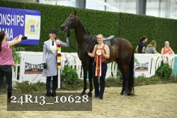 24R13_10628 thumbnail