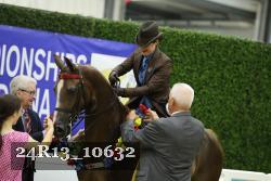 24R13_10632 thumbnail