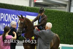 24R13_10633 thumbnail