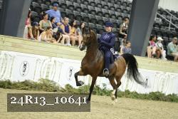 24R13_10641 thumbnail