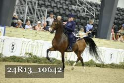 24R13_10642 thumbnail