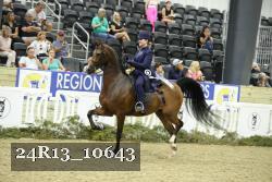 24R13_10643 thumbnail