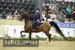 24R13_10644 thumbnail