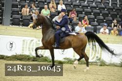 24R13_10645 thumbnail