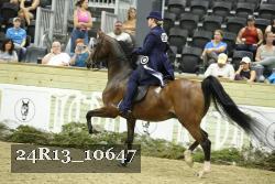 24R13_10647 thumbnail
