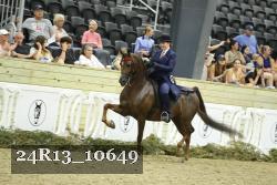 24R13_10649 thumbnail