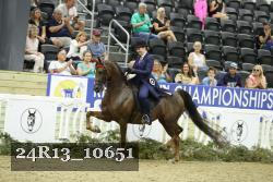 24R13_10651 thumbnail