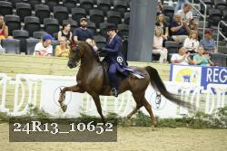 24R13_10652 thumbnail