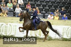24R13_10653 thumbnail