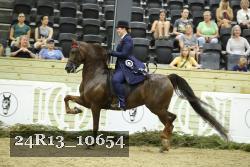 24R13_10654 thumbnail