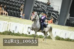 24R13_10655 thumbnail