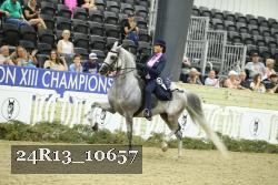 24R13_10657 thumbnail