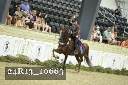 24R13_10663 thumbnail