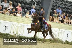 24R13_10664 thumbnail