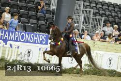 24R13_10665 thumbnail