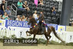 24R13_10666 thumbnail
