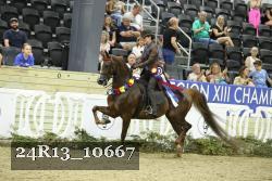 24R13_10667 thumbnail