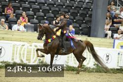 24R13_10668 thumbnail