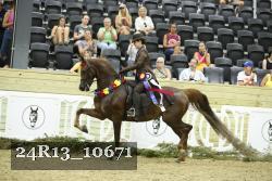 24R13_10671 thumbnail