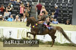 24R13_10672 thumbnail