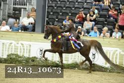 24R13_10673 thumbnail