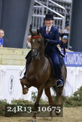 24R13_10675 thumbnail