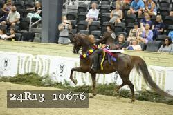 24R13_10676 thumbnail