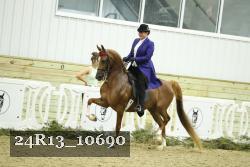 24R13_10690 thumbnail
