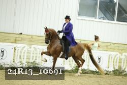 24R13_10691 thumbnail