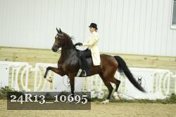 24R13_10695 thumbnail