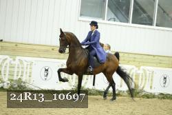 24R13_10697 thumbnail