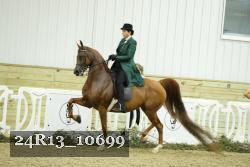 24R13_10699 thumbnail