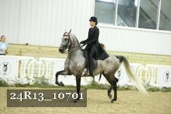 24R13_10701 thumbnail