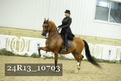 24R13_10703 thumbnail