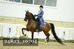 24R13_10704 thumbnail