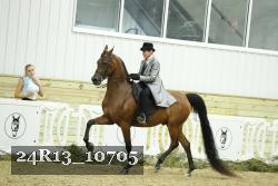 24R13_10705 thumbnail