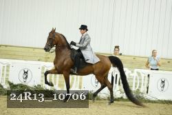 24R13_10706 thumbnail