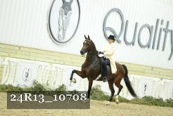 24R13_10708 thumbnail