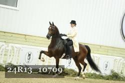 24R13_10709 thumbnail