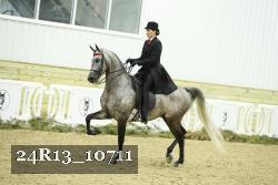 24R13_10711 thumbnail