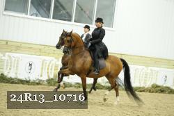 24R13_10716 thumbnail