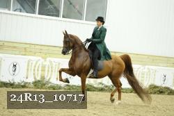 24R13_10717 thumbnail